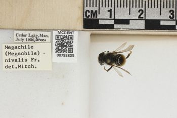 Media type: image;   Entomology 793803 Aspect: Labels
